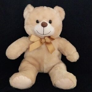 A Stuffed Bear